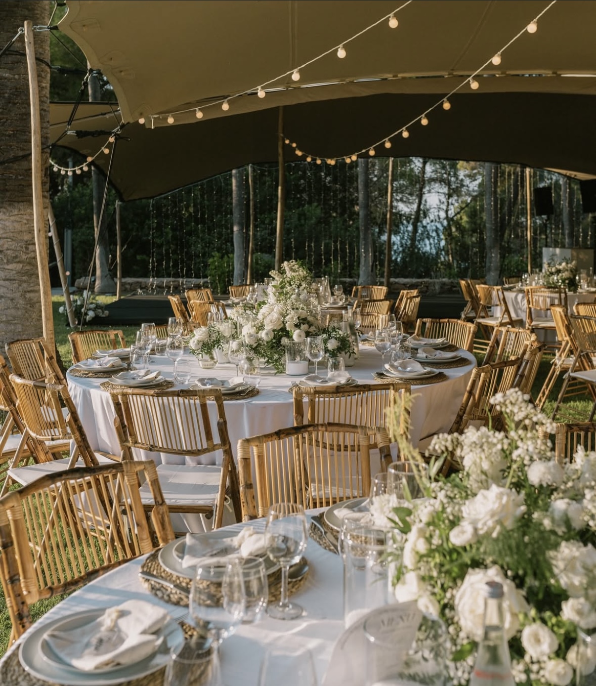 Festoon Led Lighting with Fairy Lights Curtains